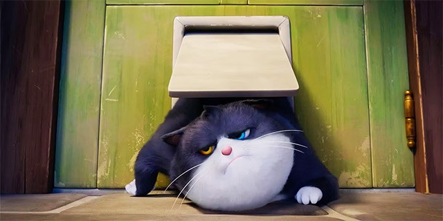 Những tình huống hài hước, vui nhộn trong phim Ten Lives