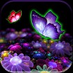 3D Butterfly Live Wallpaper - Hình nền động cánh bướm Android