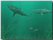 3D Sharks for Mac 2.6 - Hình nền cá mập 3D