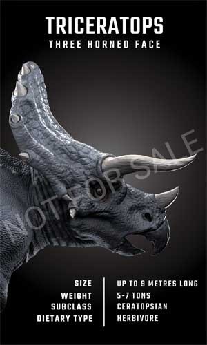 Khủng long Triceratops