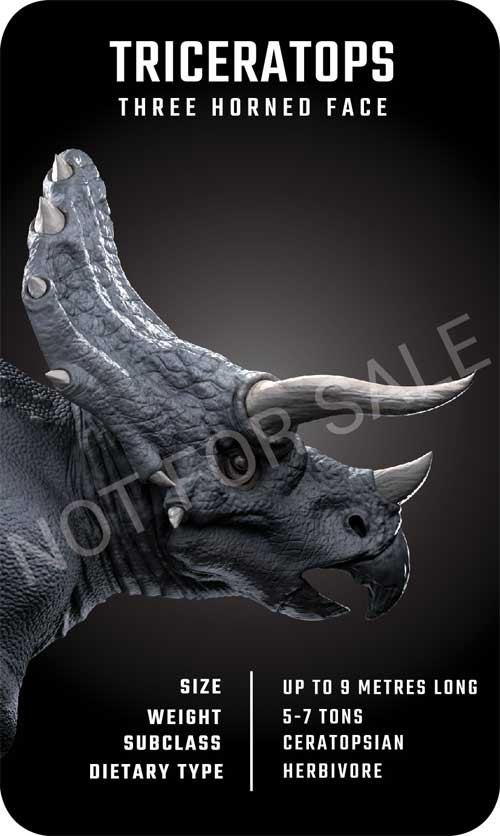 Khủng long Triceratops