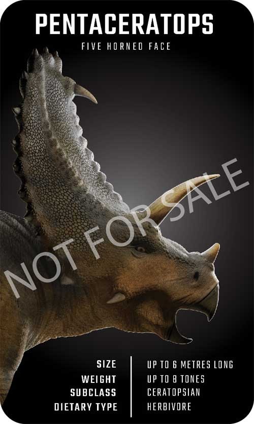 Khủng long Pentaceratops