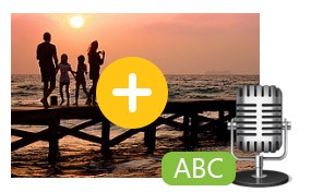 4Videosoft Video Converter Ultimate hỗ trợ âm thanh ngoài