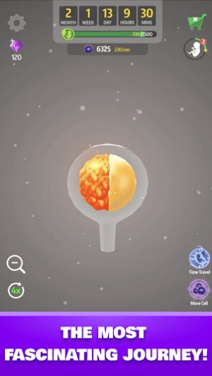 Những lần phân chia đầu tiên của tế bào