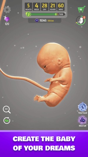 Chứng kiến quá trình hình thành thai nhi