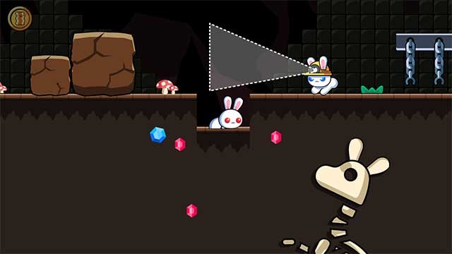 Cố gắng đừng để những chú thỏ đồng nghiệp phát hiện ra bạn