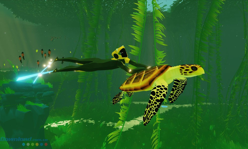 Chạm tay vào rùa