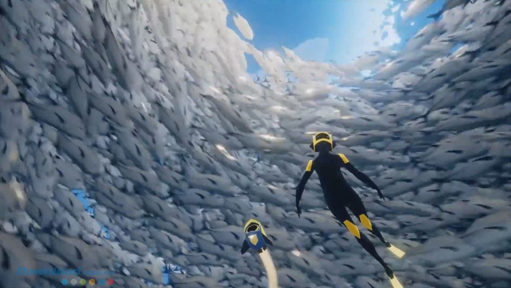 Những đàn cá khổng lồ