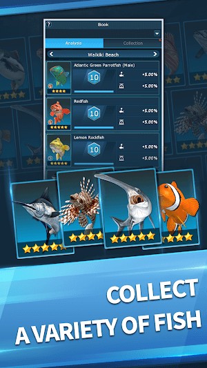 Thu thập nhiều loài cá khác nhau