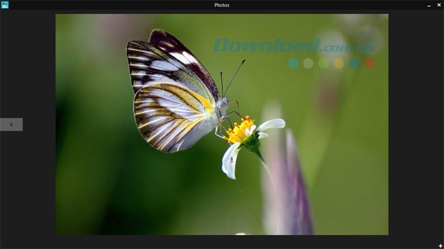Photos trên Windows 10