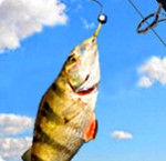 Addictive Angling - Game Câu Cá Miễn Phí trên PC
