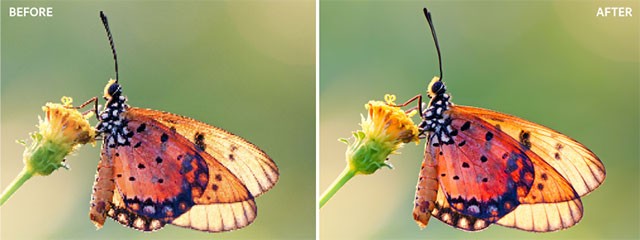 Công nghệ Super Resolution giúp xử lý ảnh in cỡ lớn hoặc ảnh crop