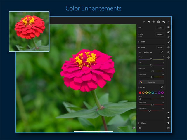Chỉnh màu ảnh cực
