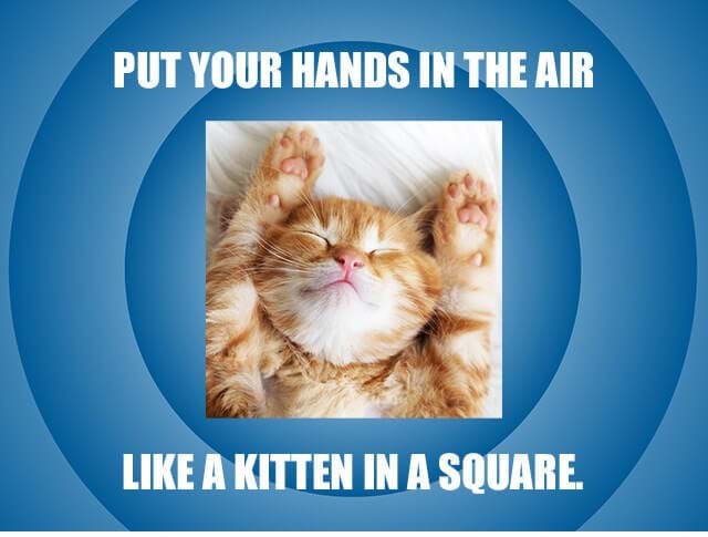 Adobe Photoshop Elements hỗ trợ bạn tạo meme vui nhộn