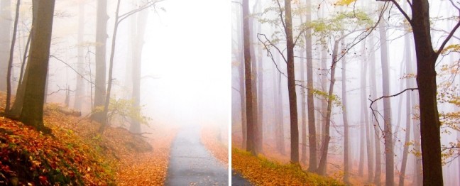 Adobe Photoshop Express logo