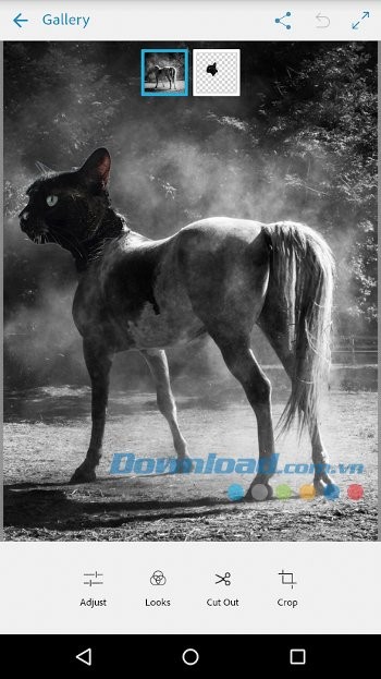 Chọn tông màu phù hợp cho từng bức ảnh