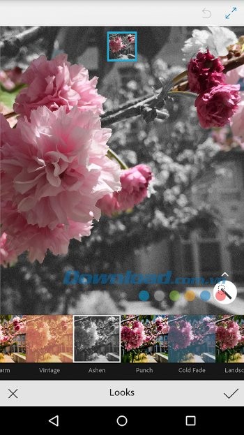 Lựa chọn hiệu ứng không giới hạn