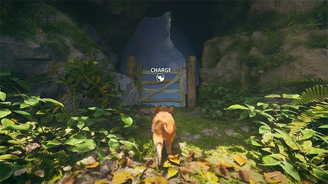 Có rất nhiều hoạt động nhỏ thú vị trong Adorable Adventures game