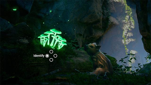 Cùng Boris làm quen với những mùi hương mới cùng chiếc mũi thính