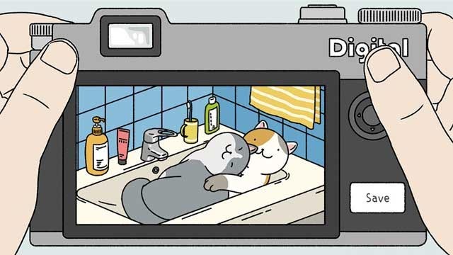 Chụp ảnh mèo con và lưu vào album cá nhân