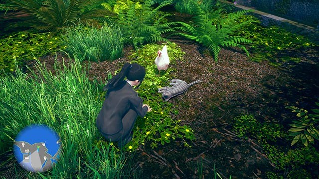 Có rất nhiều hoạt động vui để bạn trải nghiệm trong game AI Shoujo