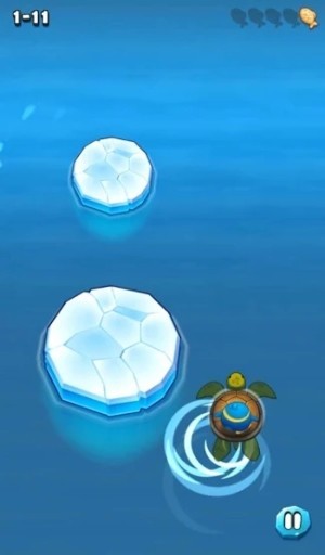 Phiêu lưu với sự trợ giúp của chú rùa