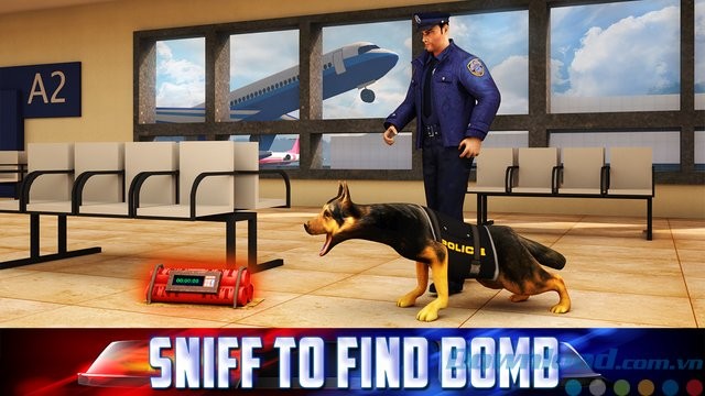 Đánh hơi bom và ma túy trong hành lý