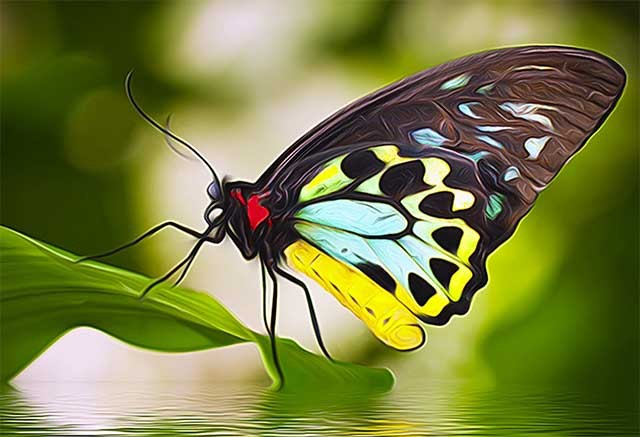 Phần mềm Air Brush hoạt động như một bộ lọc nghệ thuật