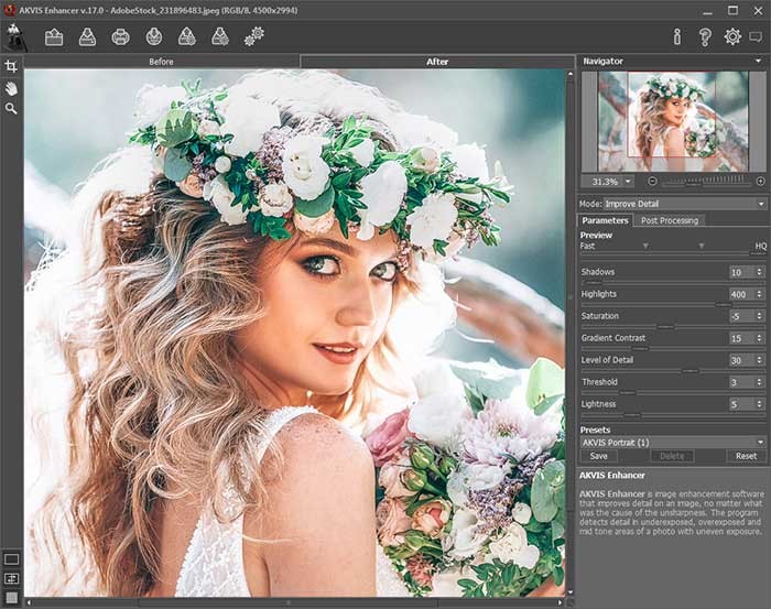 Giao diện AKVIS Enhancer