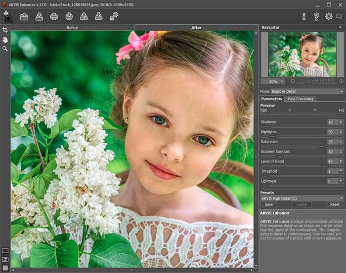 AKVIS Enhancer hiện tham số hình ảnh ở bên cạnh cửa sổ chính