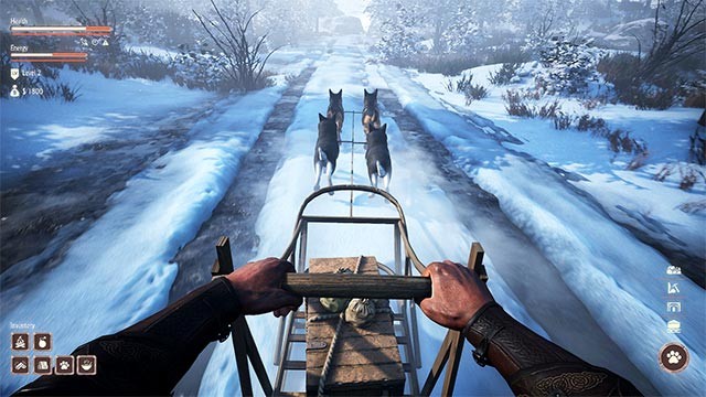 Những chú chó kéo xe sẽ đồng hành cùng bạn trong hành trình đào vàng