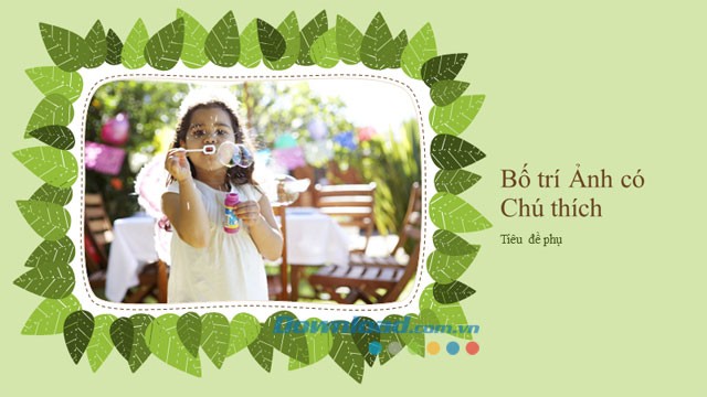 Album ảnh gia đình