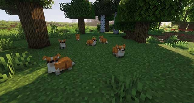 Ambient Additions Mod hiện đã bổ sung thêm 14 loài động vật vào Minecraft