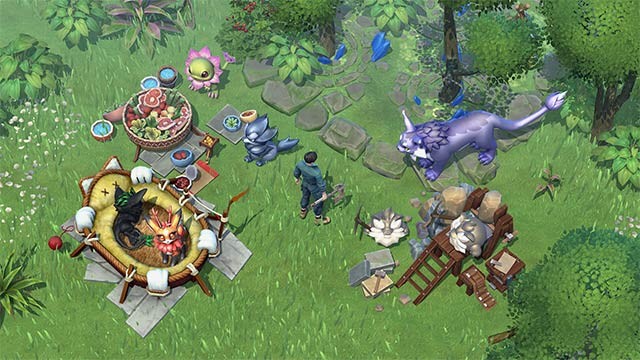 Biến căn cứ thành trung tâm huấn luyện Amikin chuyên nghiệp