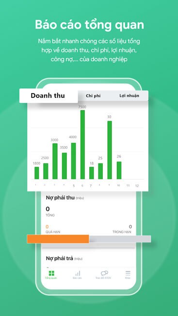 Báo cáo tổng quan
