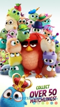 Game nối hình Angry Birds Match cho Android