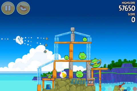 Chim xanh phá băng