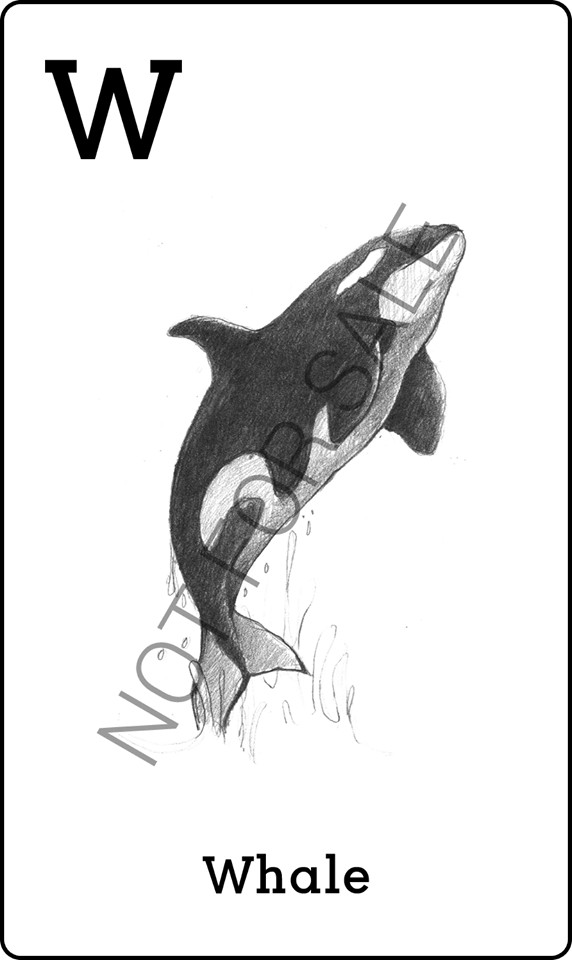 Hình ảnh thẻ động vật 4D để quét - Con cá voi