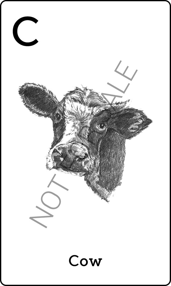 Hình ảnh thẻ động vật 4D để quét - Con bò