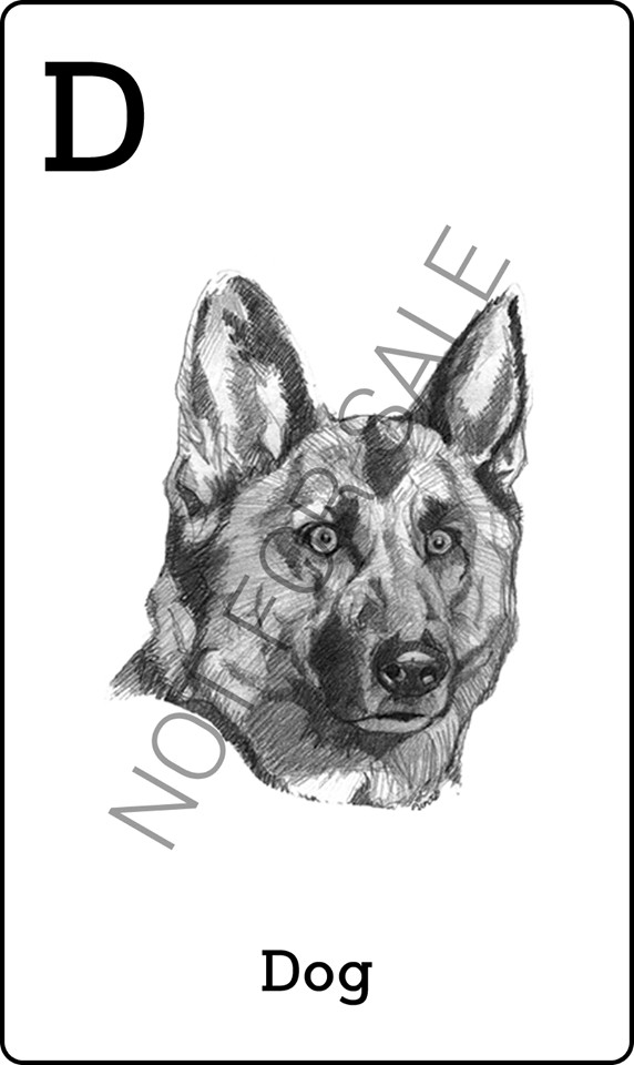 Hình ảnh thẻ động vật 4D để quét - Con chó