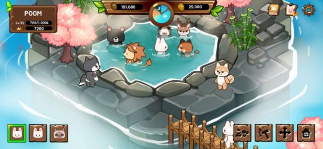 Xây dựng bể bơi làm nơi thư giãn cho các vị khách động vật