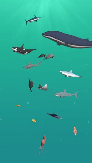 Vô số loài động vật khác nhau