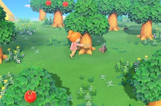 Phiêu lưu khám phá thế giới sinh động với rất nhiều hoạt động thú vị