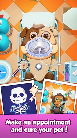 Đưa pet đến bệnh viện khám chữa bệnh