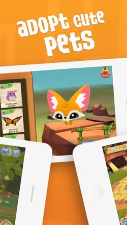 Nhận nuôi thú cưng dễ thương