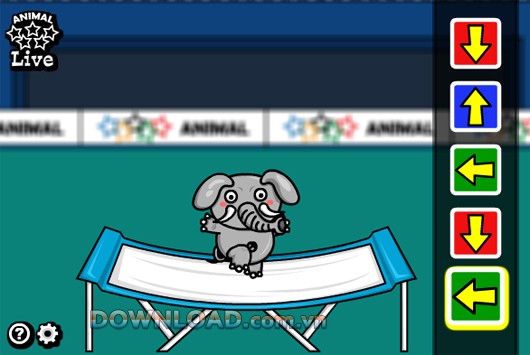 Animal Olympics - Trampoline