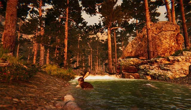 Mỗi con vật đều có những tính năng, ưu và nhược điểm riêng