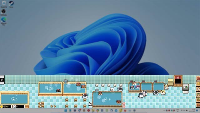 Quản lý nhà tắm thú cưng ngay trên màn hình máy tính với Animal Spa