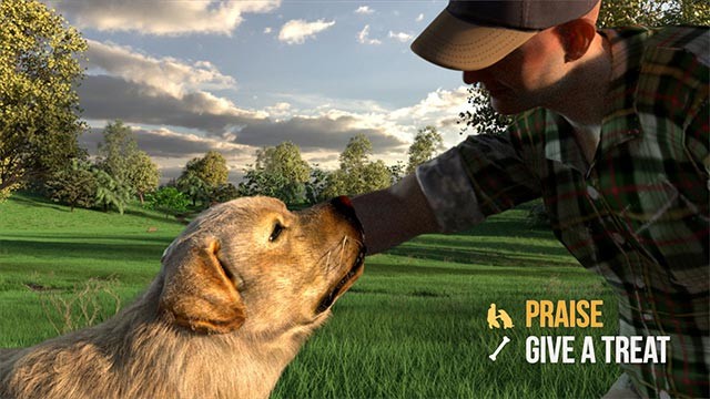 Chăm sóc động vật, đảm bảo chúng luôn có sức khỏe và tâm trạng tốt