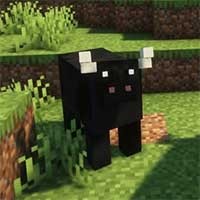 Animalia Mod Minecraft: Thêm 12 Loài Vật Mới